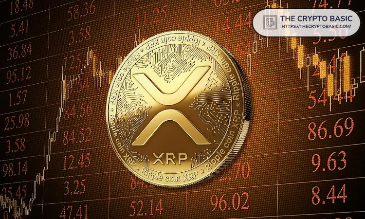 专家分享如何利用 XRP 投资实现14倍回报