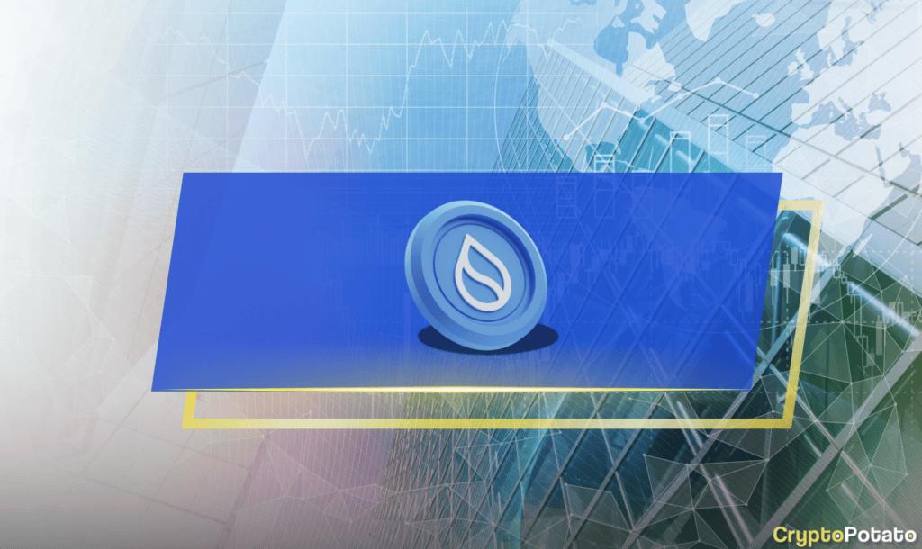 随网(Sui)2024:一切你想知道的终极指南