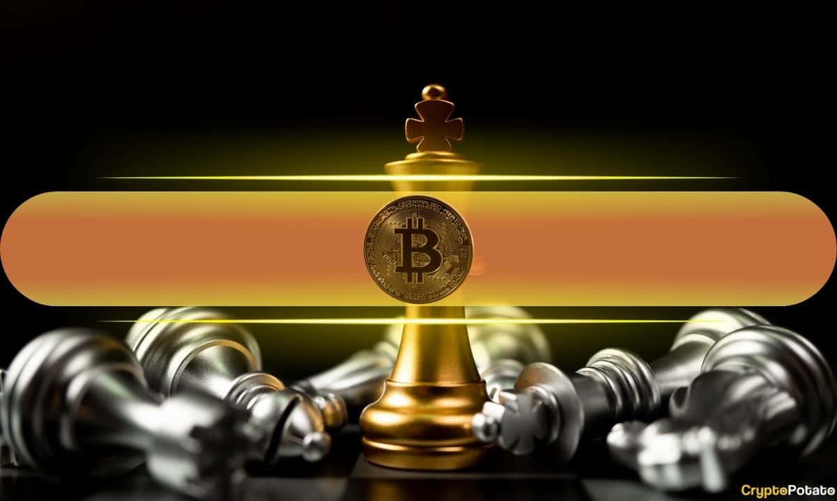 路径分歧:随着山寨币下跌,比特币在市场动荡中崭露头角
