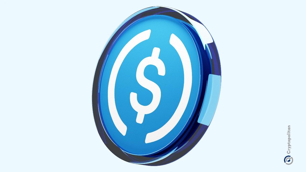 黄金下滑，比特币和美元走高，Circle主导股市反弹潮 [持续升势]