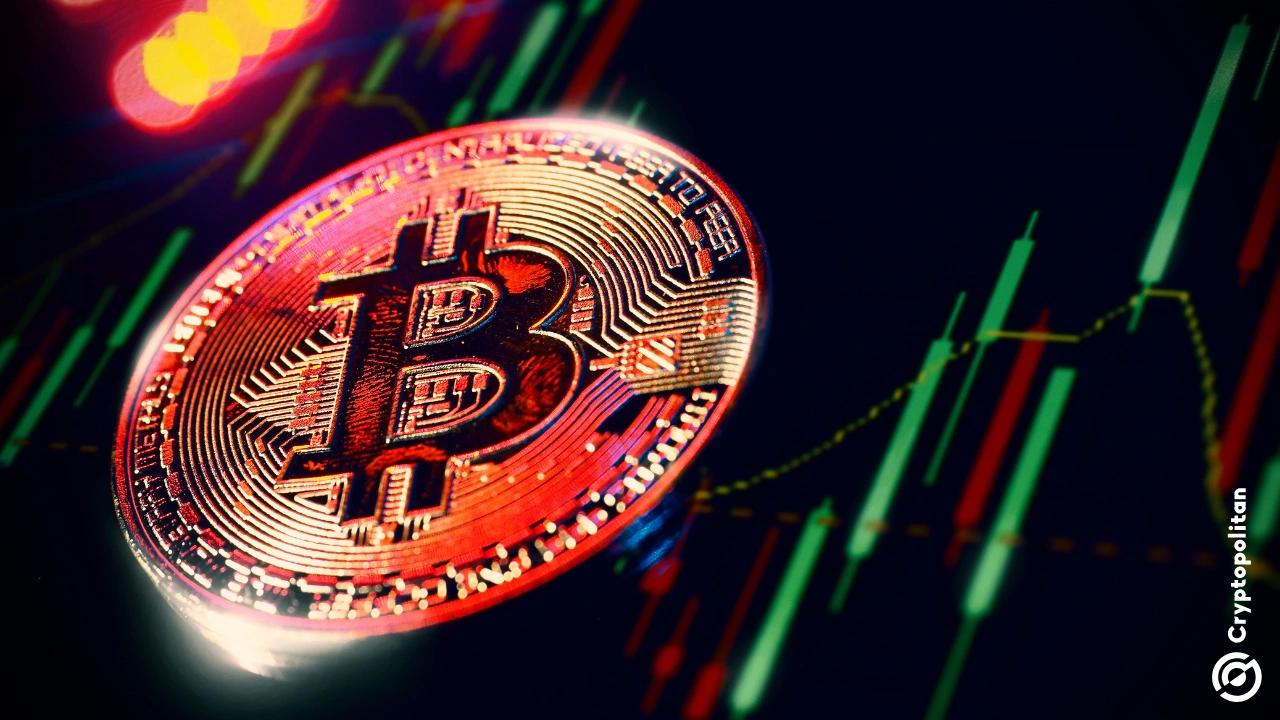 Coinbase Premium Reaches Record High as US Demand for Bitcoin Soars