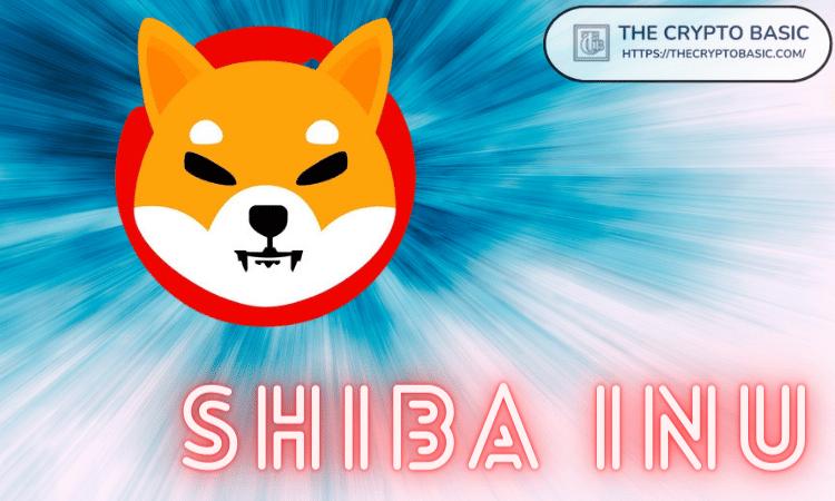 柴犬展开宏大计划,终结表情包时代