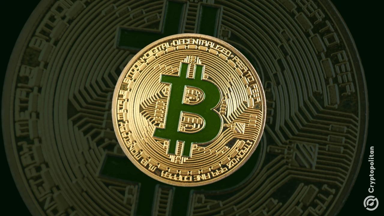 连续 10周加密货币基金流入，比特币带动年初至今151亿美元的增长