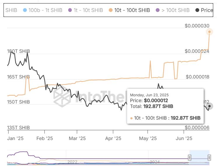 柴鲸价格飙升9% 一天消耗10,400,000,000,000头