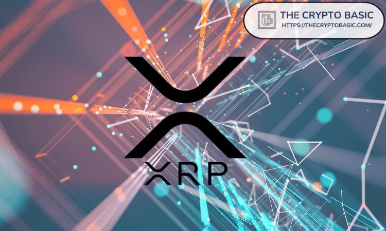 XRP 持有者理应享受繁荣,因为他们站在历史的正确一边:专家称.
