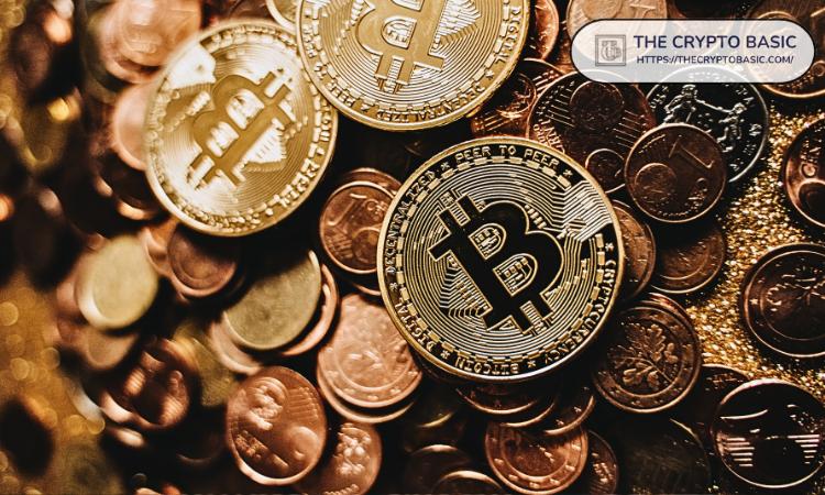 彭博社:比特币巨鲸在机构介入下一年内损失了50万枚比特币