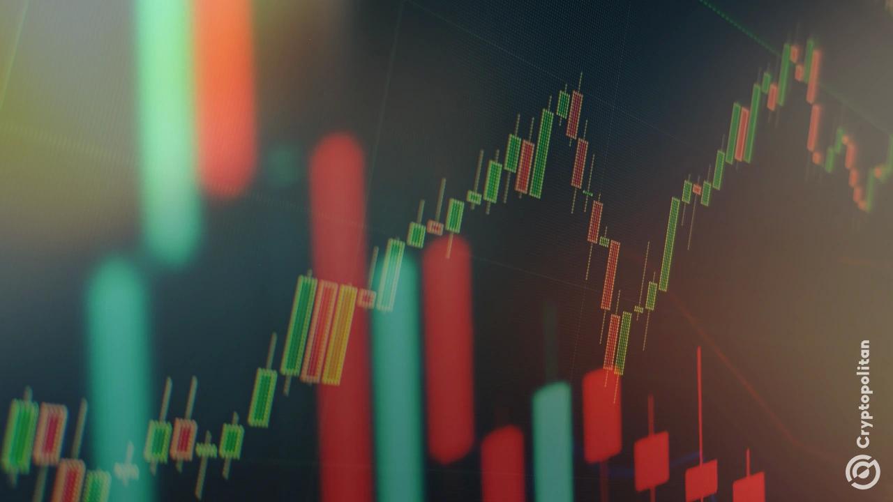凯西·伍德的方舟基金计划利用“饮食ETF”重返股市