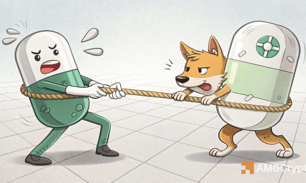 Bonk.fun接替Pump.fun——基于Solana的模因需求的新趋势是什么?