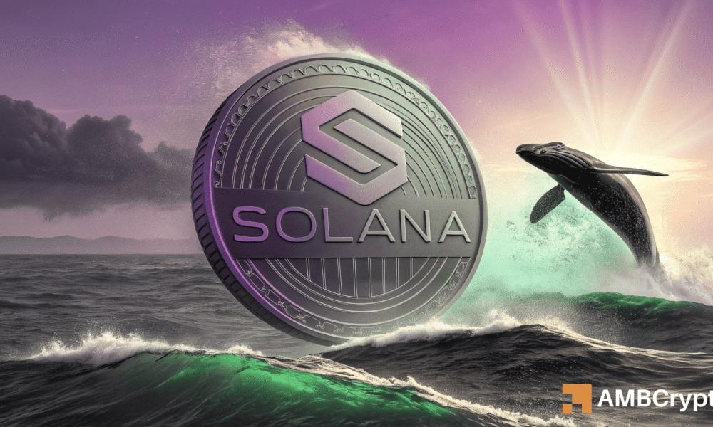 Solana——这些因素将如何影响 SOL 的未来价格走势