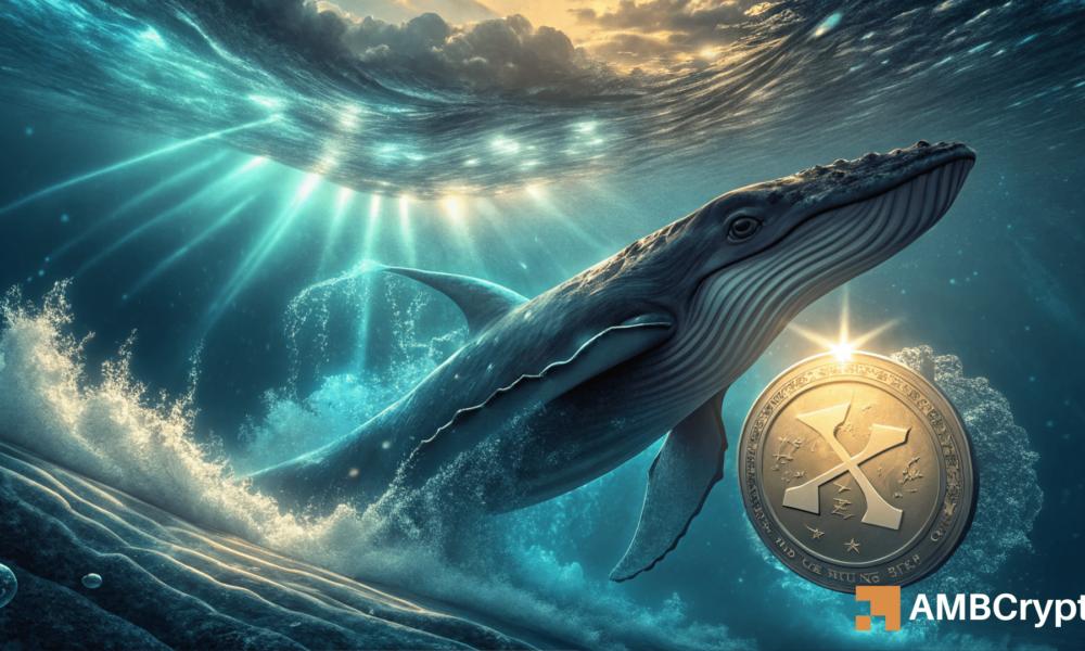 XRP 目前上涨的两大原因及未来走势预测