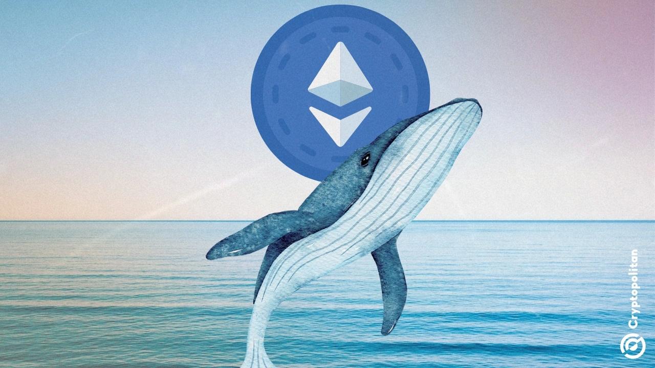随着价格稳定在 3,700 美元以上，鲸鱼重新开始购买 ETH