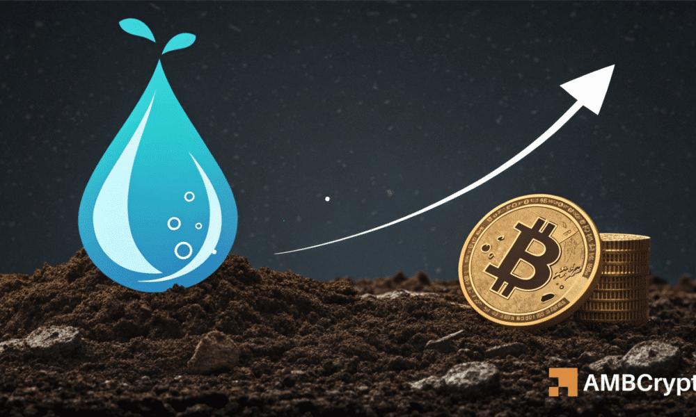 SUI的交易量超越AVAX、NEAR和HYPE,为何交易员却纷纷退出?发生了什么?