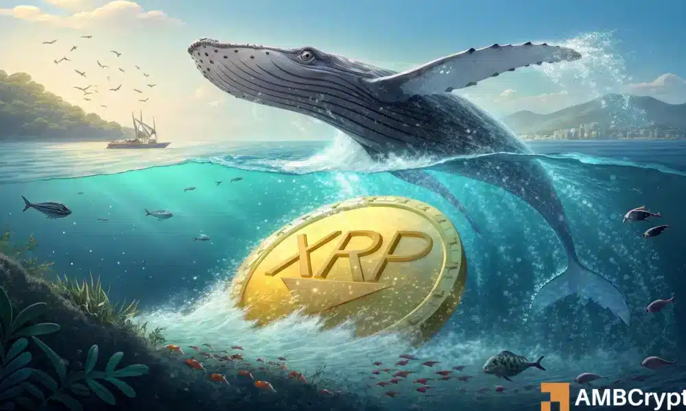 XRP抛售引发价格下跌至3美元以下- 反弹是否结束?