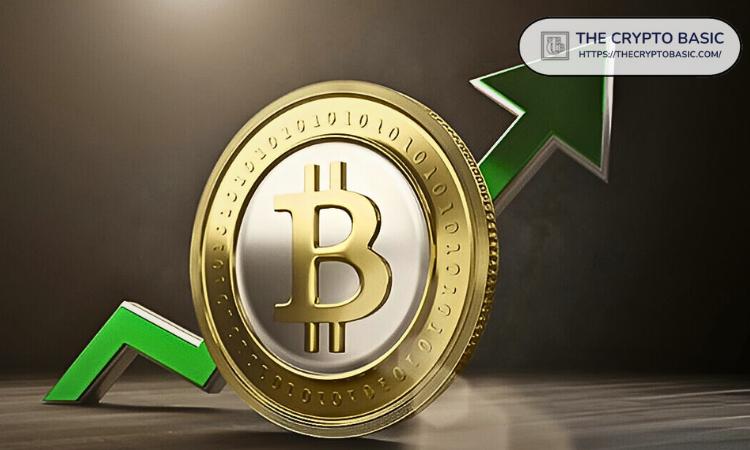 :罕见的比特币牛市信号即将触发;分析师称其历来稳中有升