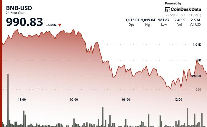 随着加密货币市场下跌，BNB 跌破 1000 美元，恐慌指数接近“恐惧”水平